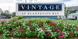 Vintage at Plantation Bay Vintage at Plantation Bay Gallery 1