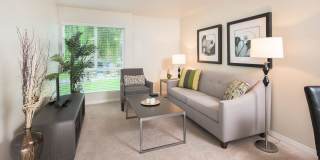 Santa Teresa Gallery 21