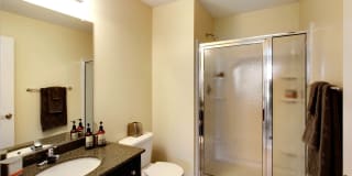 The Springs Gallery 21