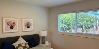 Updated Single Story Home with Cupertino Schools Gallery 7