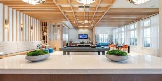 Alta Citron Gallery 18