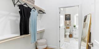 Wellory Living Gallery 60