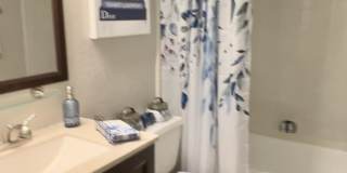 8190 Philippe Landing Gallery 13