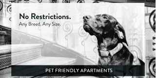 Alpine Apartments Gallery 21