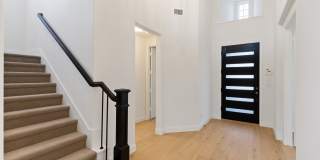 2380 Rainforest Drive Gallery 4