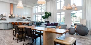 Olympus Corsair Gallery 8