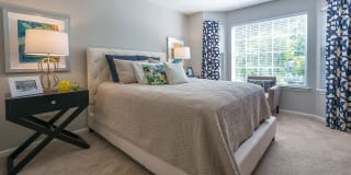 Alister Quincy Gallery 7