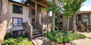 9 Madrona 9 Madrona Gallery 1