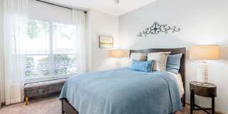 CityGreen at Northshore Gallery 8