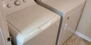 Hollybend Gallery 15