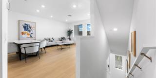 249 Steely Gallery 5