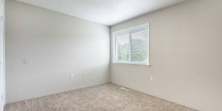 The Dawson Gallery 15