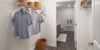 The Alary Gallery 42