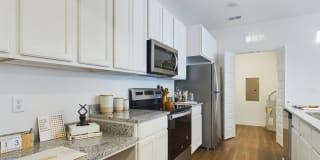 Aurora St. Leon Gallery 24