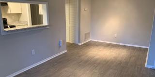 Seven Pines Gallery 21