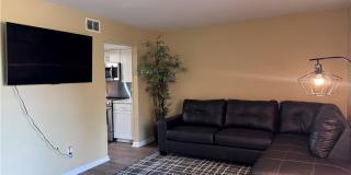 2638 King Court Gallery 4