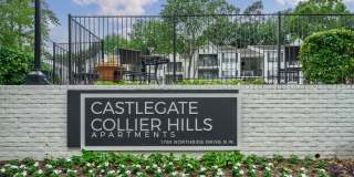 Castlegate Collier Hills Gallery 21