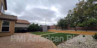 4265 Thalia Way Gallery 18