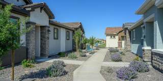 Village at the Blvd Gallery 45