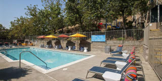 Waterscape Gallery 21