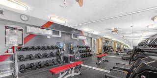 TGM Shadeland Station Gallery 11