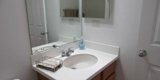 494 S Jade Lane Gallery 15