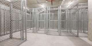 Wye Flats Gallery 14