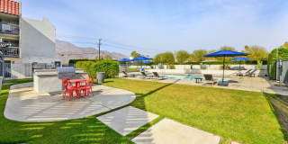 THE MODERN CACTUS Gallery 29