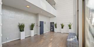 1140 East Ocean Boulevard Gallery 31