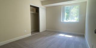 Northgate Gallery 245