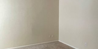 Downtown / Williams Brice area Gallery 11