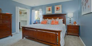 Plum Tree Gallery 23