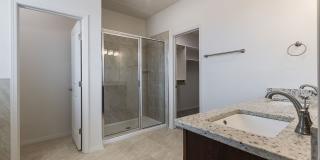 NEW CONSTRUCTION IN MESA DEL SOL Gallery 8