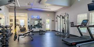 Wellington Place Gallery 11