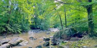 60 WELSH TRACT ROAD 60 WELSH TRACT ROAD Gallery 25