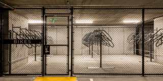 The Merian Gallery 63