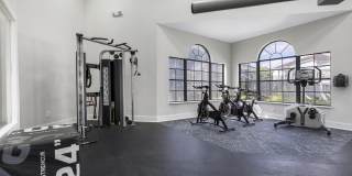 Alvista Hollywood Gallery 20