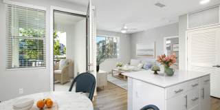 The Strand Gallery 64