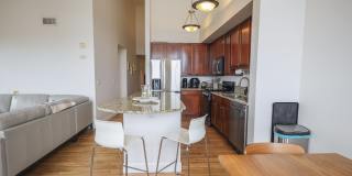Gorgeous 1 bed 1 bath in an amazing location Gallery 10
