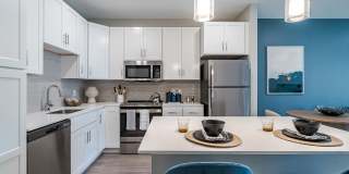 Aster at the Summit Gallery 2