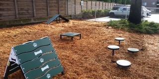 Linden Highlands Gallery 20