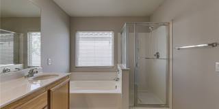 3123 ALDER GROVE Court Gallery 14