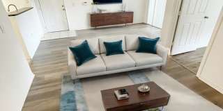 Emerald Isles Gallery 4