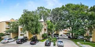 Sawmill Creek Gallery 41