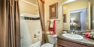 Odyssey Lake Apartments Gallery 31