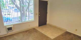 24214t Gallery 6