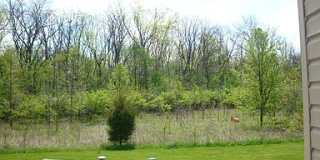 6749 Dorothy's Creek Gallery 9