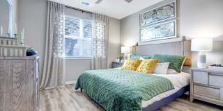 Linden at The Rim Linden at The Rim Gallery 7