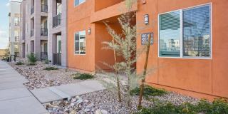 Cottonwood Ranch Gallery 34