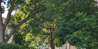 Carriage Crossing Gallery 40